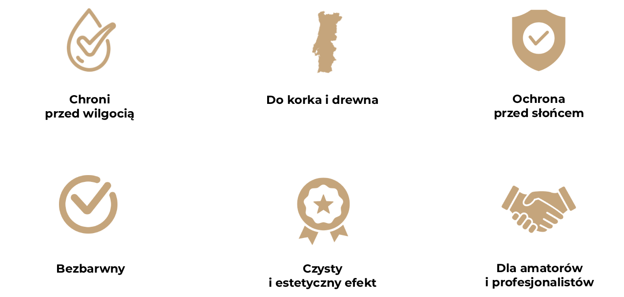 Obraz przedstawia sześć ikon opisujących zalety lakieru do łodzi.